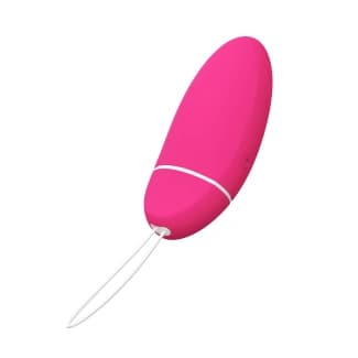 LELO KegelSmart 2